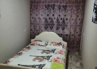 2-ком. квартира в аренду, 55 м2, Нижегородская область, улица Красных Зорь, 1