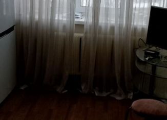 Однокомнатная квартира в аренду, 30 м2, Нижегородская область, улица Челюскинцев, 10