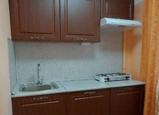 2-комнатная квартира на продажу, 43.8 м2, Екатеринбург, Чкаловский район, Палисадная улица, 2