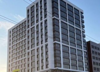 Сдается в аренду однокомнатная квартира, 42 м2, Республика Башкортостан, улица Аксакова, 81/1