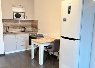 Сдаю в аренду 1-ком. квартиру, 34.9 м2, Санкт-Петербург, проспект Авиаконструкторов, 67к1, муниципальный округ Коломяги
