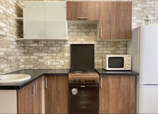 1-комнатная квартира в аренду, 33.6 м2, Кудрово, Столичная улица, 11к2