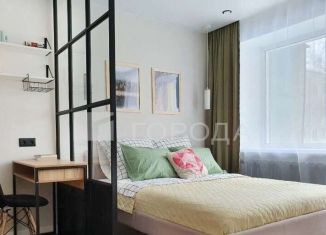 Сдам в аренду 1-ком. квартиру, 31 м2, Новосибирск, улица Гоголя, 43Б, Центральный район