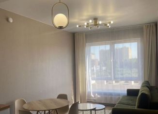 Сдается однокомнатная квартира, 40 м2, деревня Новое Девяткино, Главная улица, 10