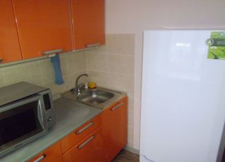 Сдаю однокомнатную квартиру, 31 м2, Новосибирск, улица Гоголя, 25, Центральный район
