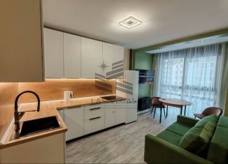 Сдаю в аренду 2-комнатную квартиру, 31 м2, Санкт-Петербург, Планерная улица, 91к1, ЖК Нью Тайм