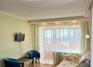 Сдача в аренду однокомнатной квартиры, 38 м2, Нижний Новгород, 3-я Ямская улица, 7, Нижегородский район