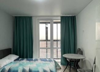 Сдается квартира студия, 20 м2, Екатеринбург, микрорайон Светлый, 11