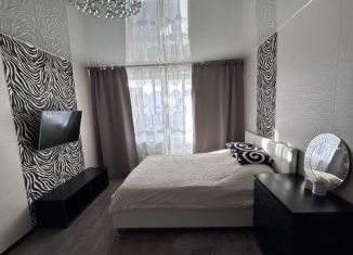 Сдам 1-комнатную квартиру, 45 м2, Санкт-Петербург, проспект Маршала Жукова, 41, Красносельский район