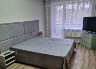Сдается в аренду 1-ком. квартира, 36 м2, Луга, улица Кингисеппа, 1