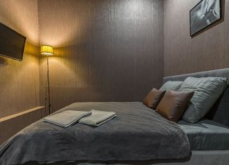Аренда квартиры студии, 18 м2, Нижний Новгород, Печёрский съезд, 22А, Нижегородский район
