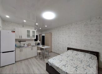 Квартира в аренду студия, 30 м2, Кингисепп, Крикковское шоссе, 20