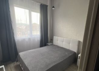 Сдаю в аренду 2-ком. квартиру, 40 м2, Сочи, улица Верхняя Лысая Гора, 12/3, микрорайон Светлана