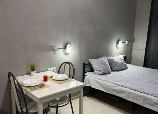 Сдам квартиру студию, 25 м2, Нижний Новгород, Московское шоссе, 83