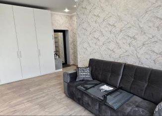 Сдается в аренду 1-ком. квартира, 37 м2, поселок Темерницкий, проспект Победы, 3к2