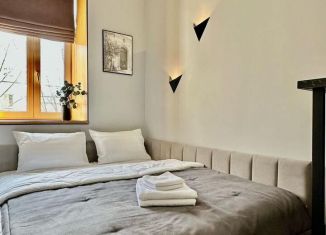 Сдача в аренду квартиры студии, 24 м2, Санкт-Петербург, улица Черняховского, 56, муниципальный округ Лиговка-Ямская