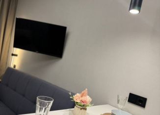 Сдача в аренду квартиры студии, 24 м2, Долгопрудный, Парковая улица, 44к1, ЖК Бригантина