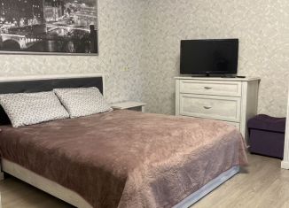Аренда 1-ком. квартиры, 33 м2, Санкт-Петербург, проспект Художников, 9к2, метро Проспект Просвещения