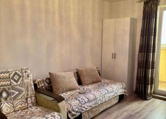 Квартира в аренду студия, 27 м2, Тосно, шоссе Барыбина, 10А