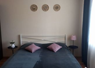 Сдача в аренду квартиры студии, 24 м2, Мурино, Екатерининская улица, 2, ЖК Виктория