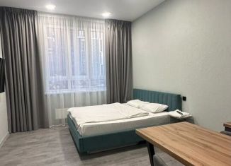 Сдаю в аренду квартиру студию, 30 м2, Республика Башкортостан, улица Рудольфа Нуреева, 7