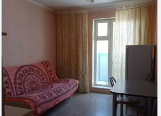 Сдаю в аренду квартиру студию, 20 м2, Новосибирск, улица Виктора Уса, 15, метро Площадь Маркса