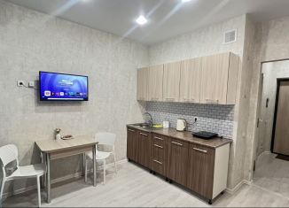 Сдаю в аренду квартиру студию, 21 м2, Тюмень, улица Фармана Салманова, 26, Калининский округ