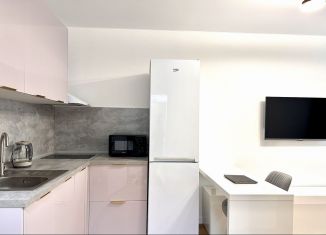 Сдаю в аренду квартиру студию, 23 м2, Мурино, Екатерининская улица, 19