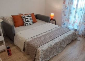 Сдача в аренду квартиры студии, 25 м2, Нижний Новгород, улица Коперника, 2