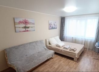 Сдам однокомнатную квартиру, 33 м2, Республика Башкортостан, Революционная улица, 80