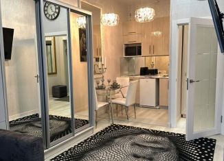 Сдается квартира студия, 33 м2, Ленинградская область, проспект Ленина, 18