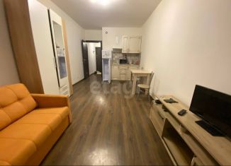 Сдам квартиру студию, 25 м2, Санкт-Петербург, проспект Ветеранов, 171к5, Красносельский район