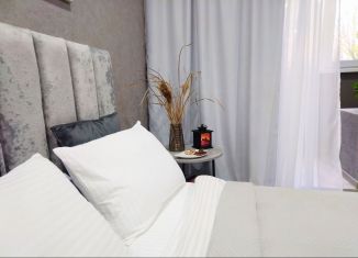 Сдам в аренду квартиру студию, 27 м2, Саратов, Огородная улица, ЖК Волга