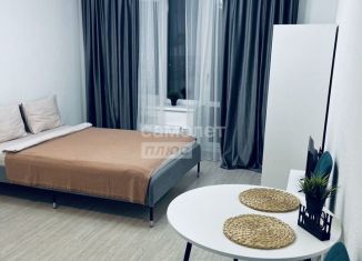 Аренда квартиры студии, 24 м2, Северодвинск, улица Карла Маркса, 66