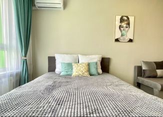 Однокомнатная квартира в аренду, 31.5 м2, Балаково, Волжская улица, 35А