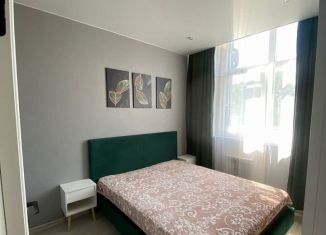 Двухкомнатная квартира в аренду, 36 м2, село Раздольное, Тепличная улица, 96А