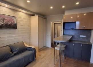 Продаю квартиру студию, 24.2 м2, Мурино, проспект Авиаторов Балтики, 7, ЖК Виктория