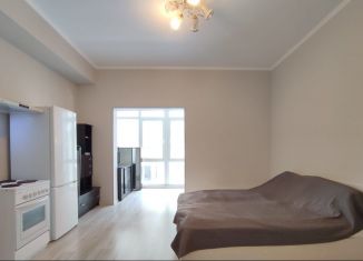 Аренда однокомнатной квартиры, 33 м2, Сочи, улица Яна Фабрициуса, 2/28А, микрорайон Яна Фабрициуса