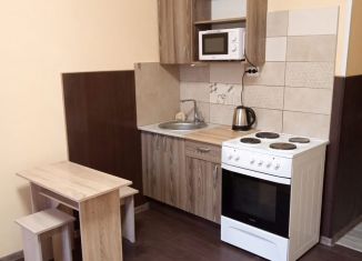 Сдается квартира студия, 28 м2, деревня Крёкшино, улица Медовая Долина, 4