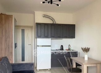 Квартира в аренду студия, 25 м2, Мурино, Воронцовский бульвар, 21к1