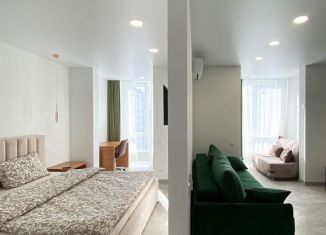 Сдача в аренду однокомнатной квартиры, 45 м2, Сочи, переулок Трунова, 6к6, микрорайон Завокзальный