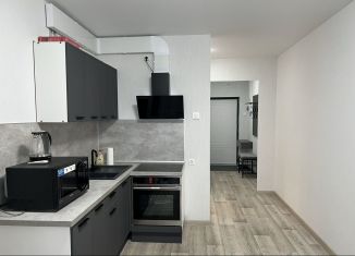 Сдается 1-ком. квартира, 35.9 м2, Челябинск, улица 250-летия Челябинска