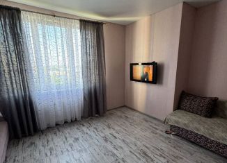 Сдаю в аренду однокомнатную квартиру, 42 м2, Татарстан, Краснококшайская улица