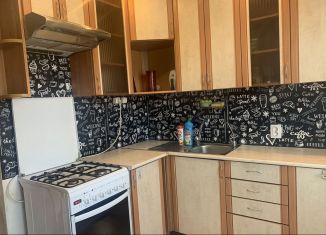 Сдается в аренду 1-ком. квартира, 36 м2, Тосно, улица Тотмина, 3