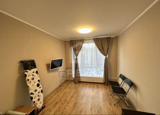 Продаю квартиру студию, 22.1 м2, посёлок Парголово, Толубеевский проезд, 8к2