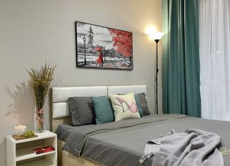 Сдам квартиру студию, 25 м2, посёлок Парголово, Толубеевский проезд, 8к2