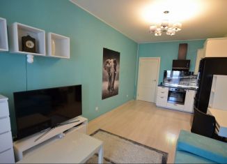 Продажа квартиры студии, 28 м2, Санкт-Петербург, ЖК Триумф Парк, Среднерогатская улица, 11