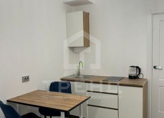 Продаю квартиру студию, 28 м2, Санкт-Петербург, Светлановский проспект, 12к1, метро Удельная