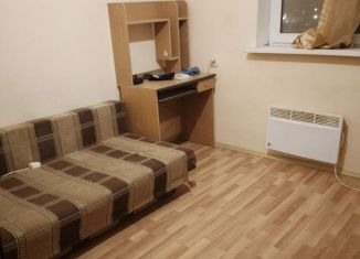Сдам 3-ком. квартиру, 60 м2, Екатеринбург, станция Керамик, 6, Чкаловский район