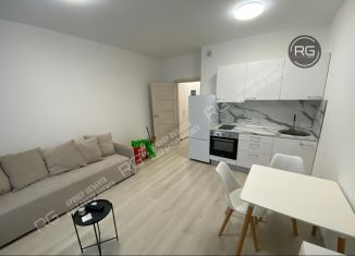 Сдаю в аренду квартиру студию, 34 м2, Санкт-Петербург, Комендантский проспект, 66к5, метро Комендантский проспект